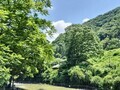 [道の駅]道の駅あしがくぼ