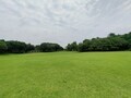 [公園]農林公園