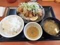 [からやま][☆]ネギだく塩ポン酢つけから定食