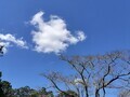 秋の空