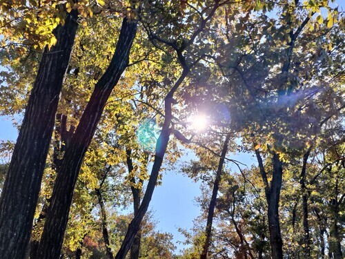 埼玉農林公園