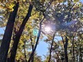 [公園]埼玉農林公園