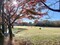 埼玉農林公園