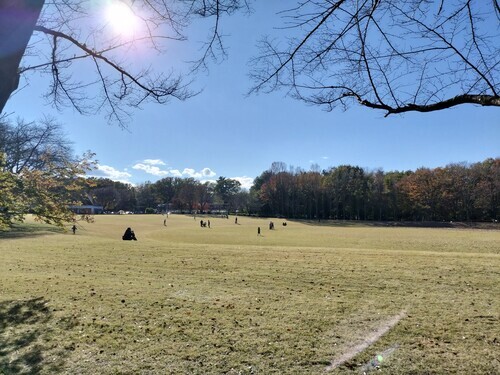 埼玉農林公園