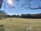 埼玉農林公園