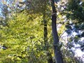 [公園]埼玉農林公園