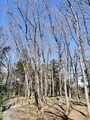 [公園]農林公園