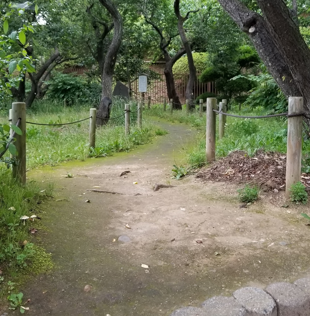 f:id:tototott:20200514201521j:plain