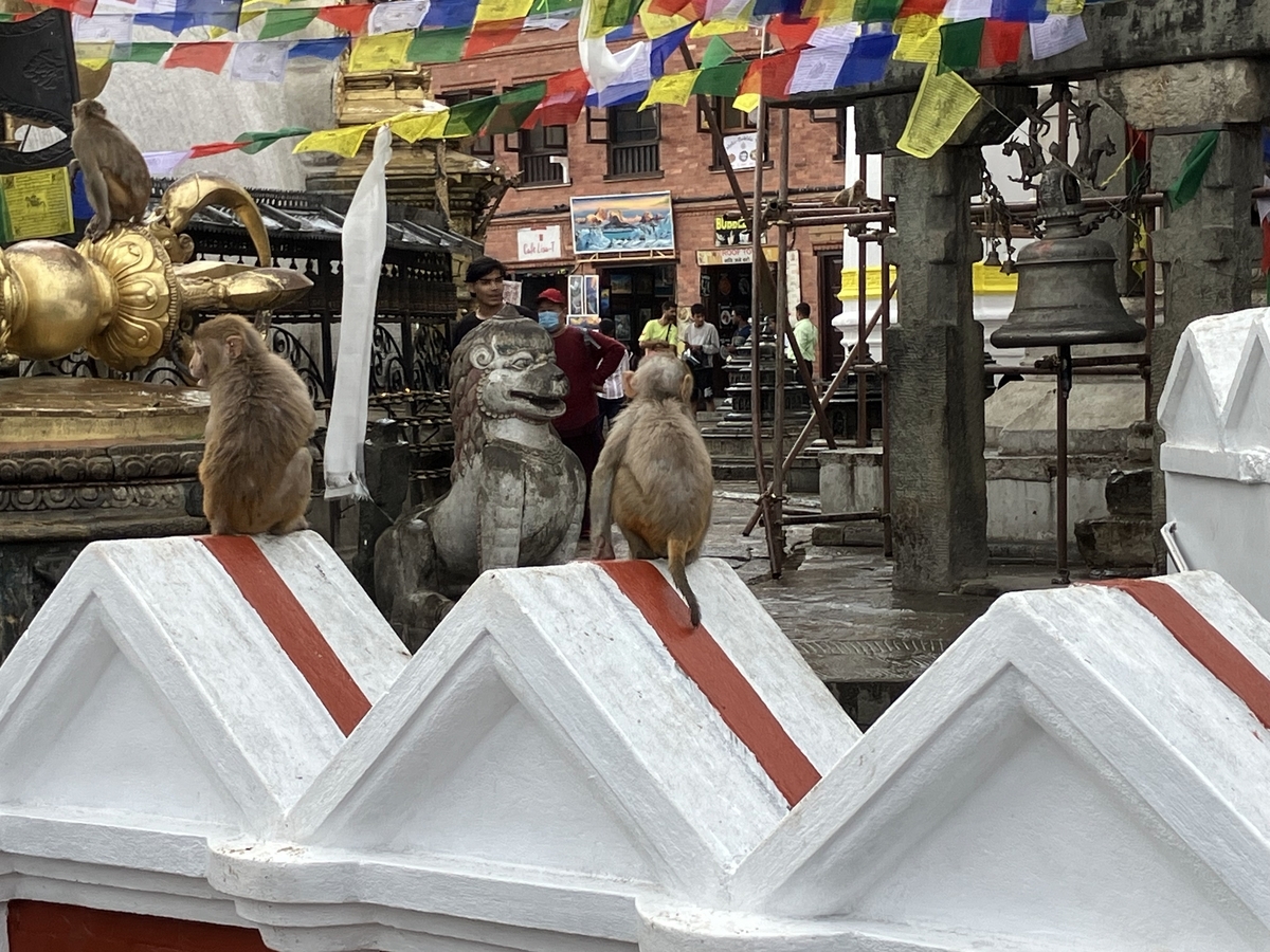 インド・ネパール一人旅⑯＜カトマンズ＞ - totsu49's blog