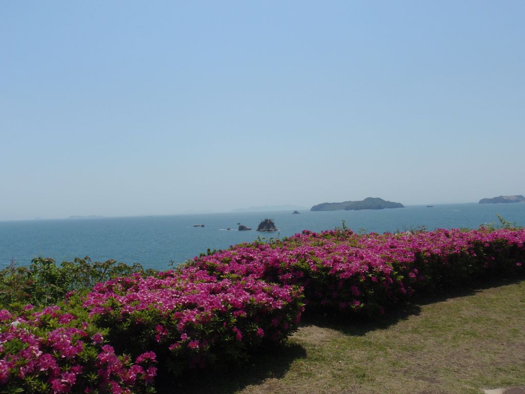 f:id:totsuspo:20100501123255j:plain