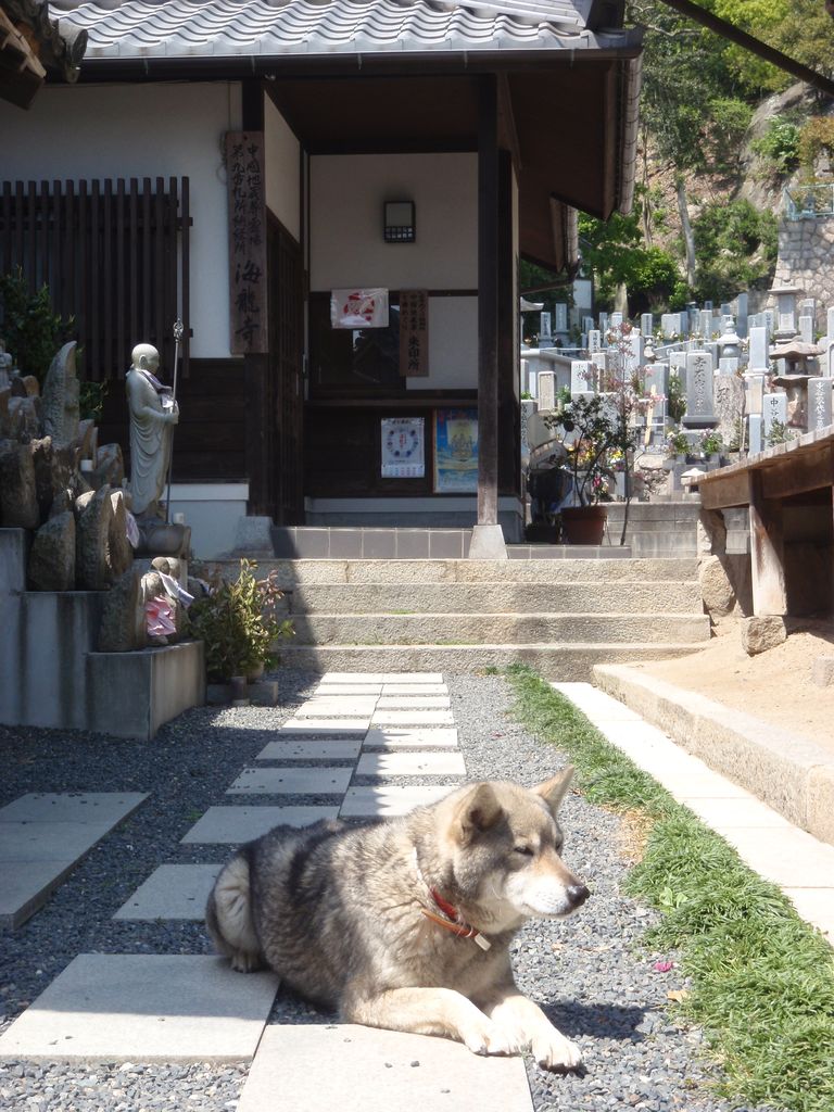 f:id:totsuspo:20100503134359j:plain