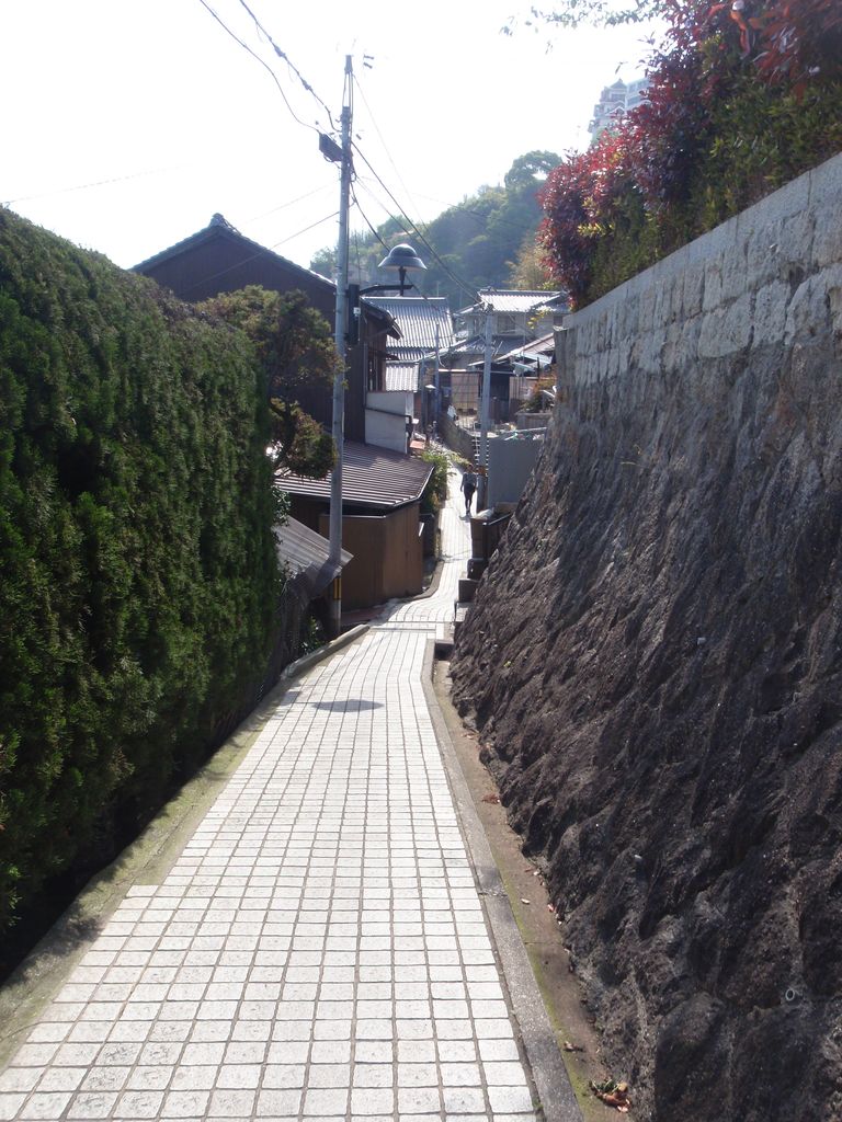 f:id:totsuspo:20100503152207j:plain