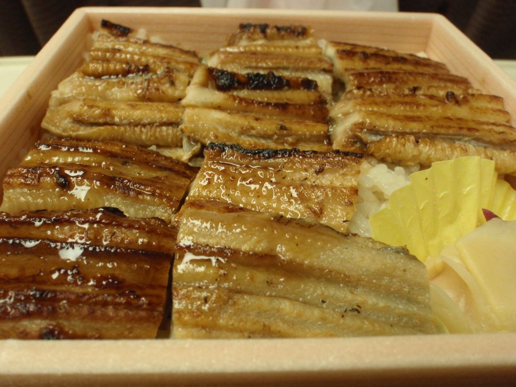 f:id:totsuspo:20100503191721j:plain