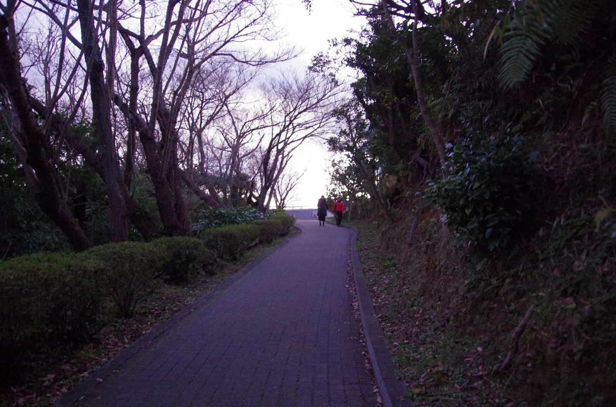 f:id:totsuspo:20151230170435j:plain