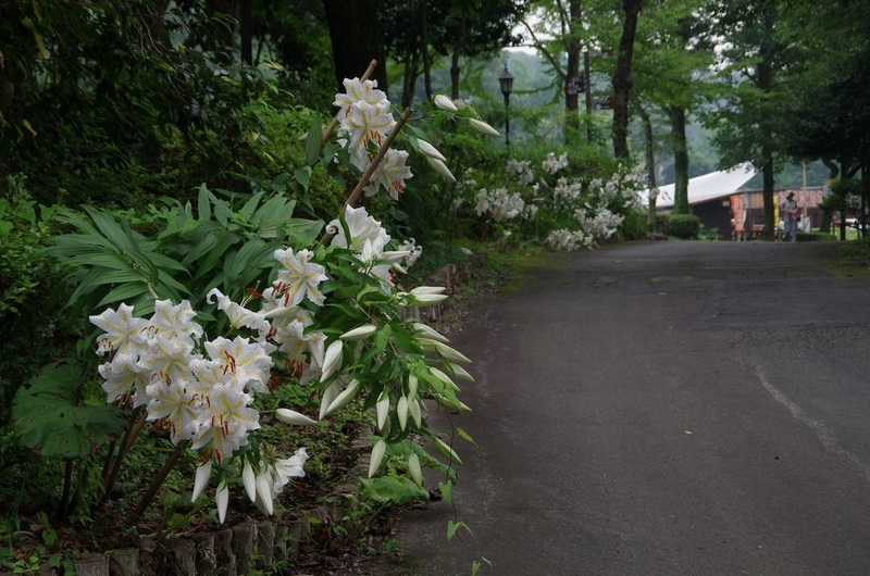 イメージ 9