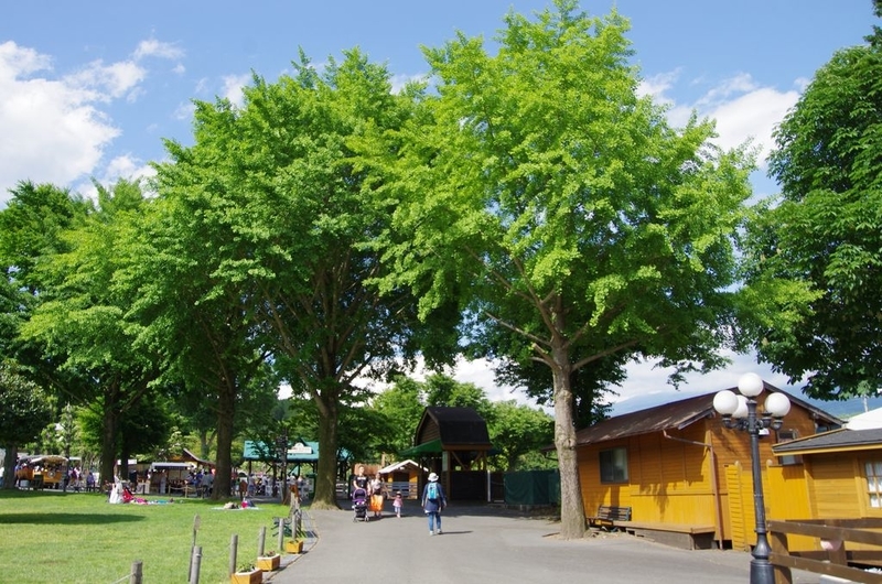 イメージ 18