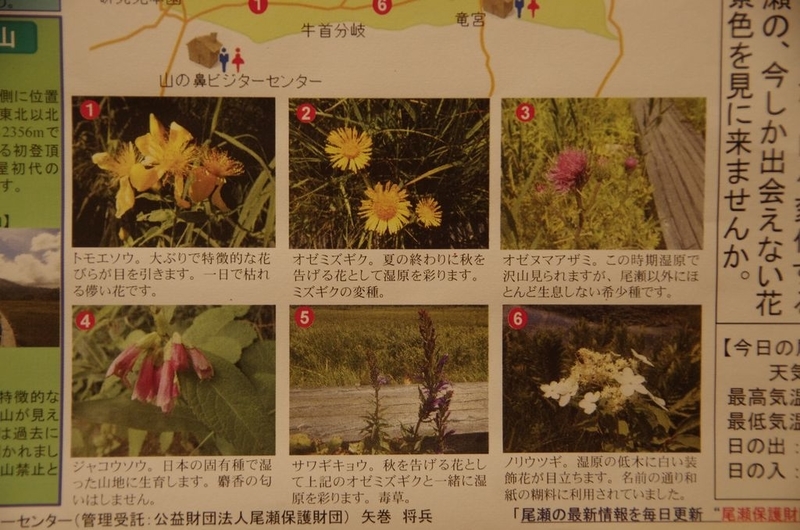 イメージ 14