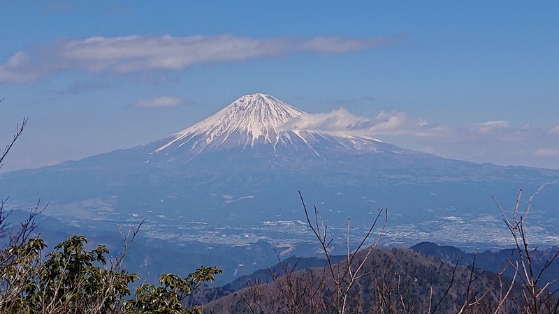 イメージ 4