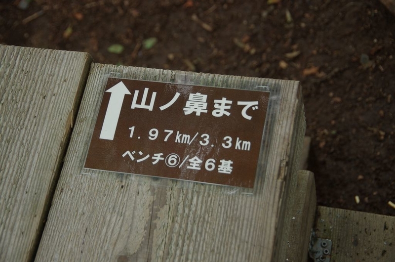 イメージ 6