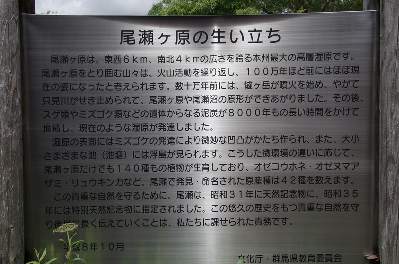 イメージ 6
