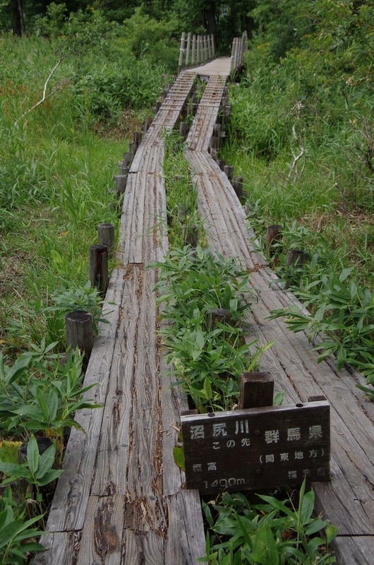 イメージ 14