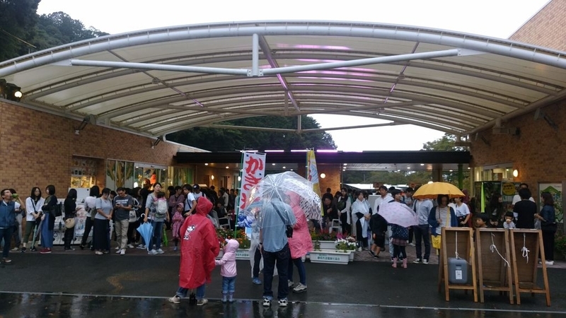 イメージ 8