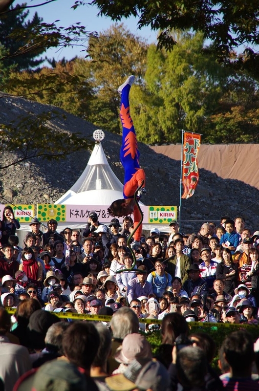 イメージ 11
