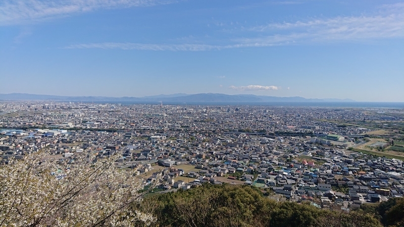 イメージ 5