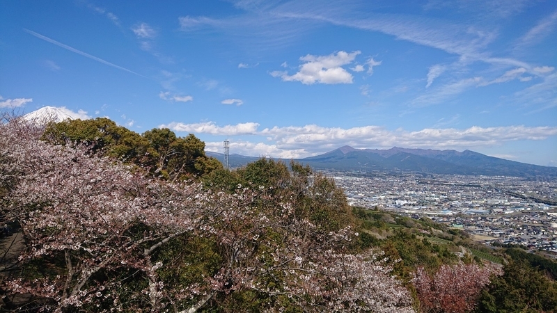 イメージ 6