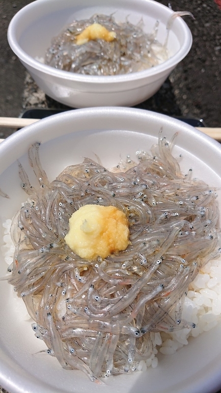 イメージ 5