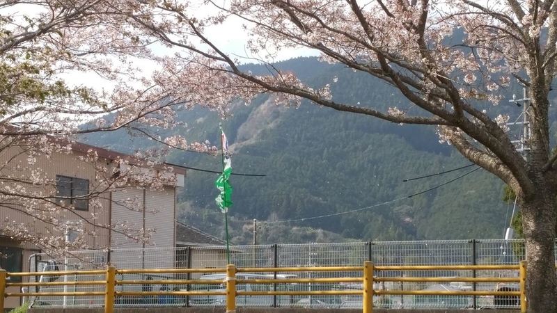 イメージ 4