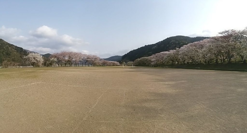 イメージ 9