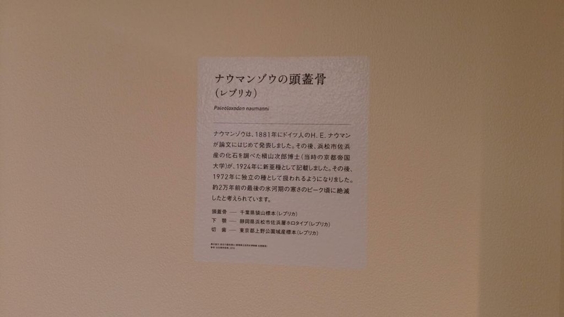 イメージ 13