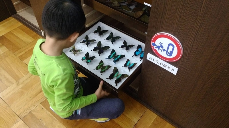イメージ 4