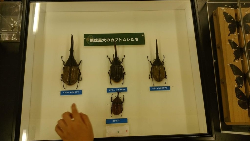 イメージ 9