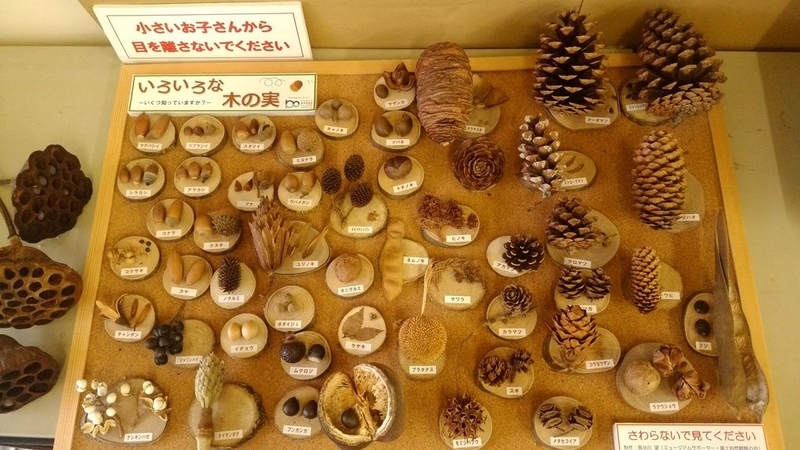 イメージ 10