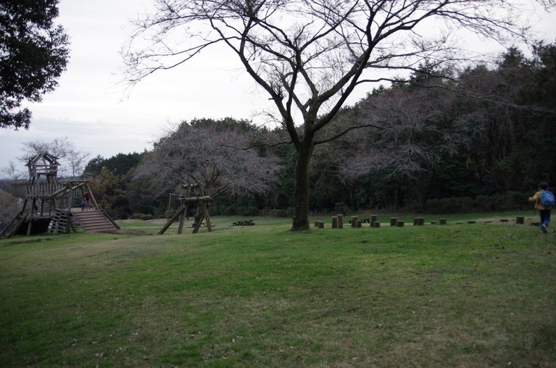 イメージ 15