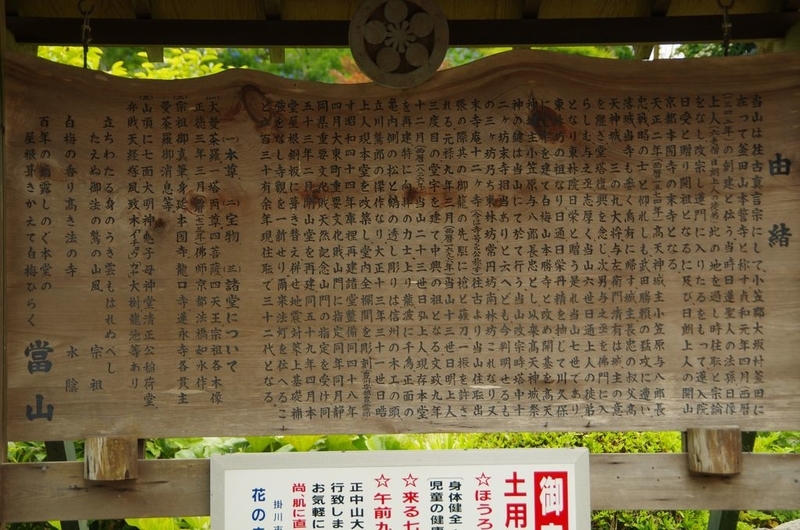 イメージ 7