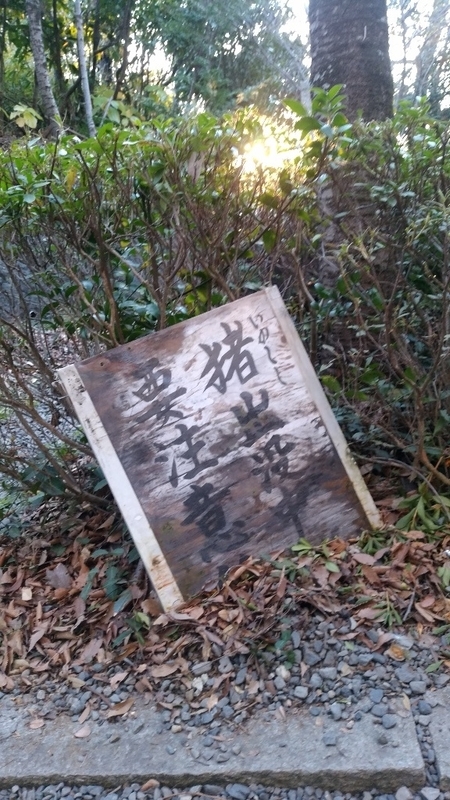 イメージ 8