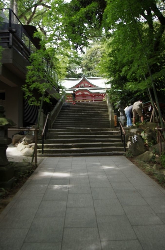 イメージ 12