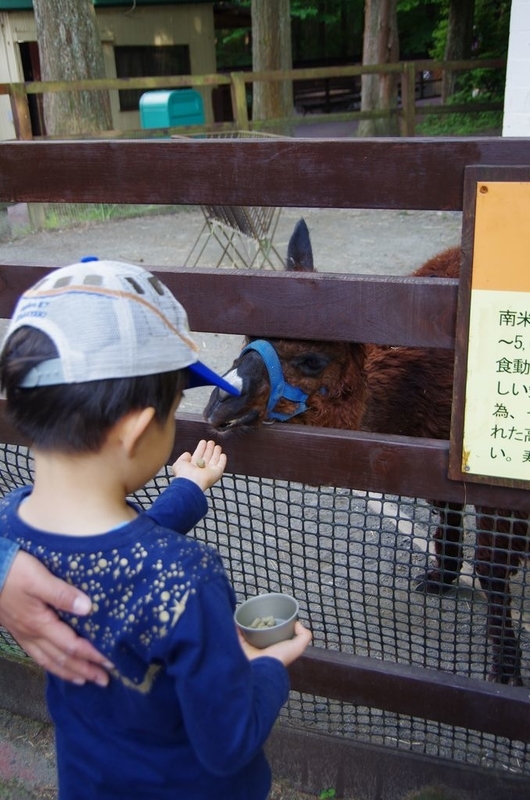 イメージ 6