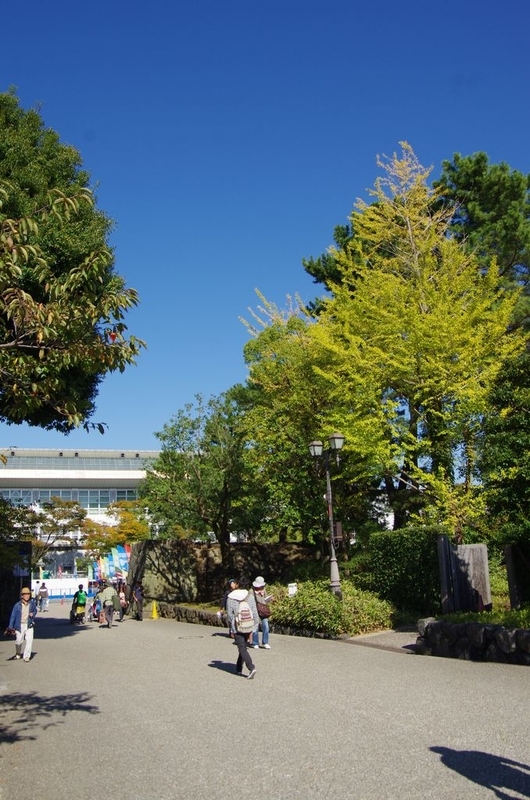 イメージ 11