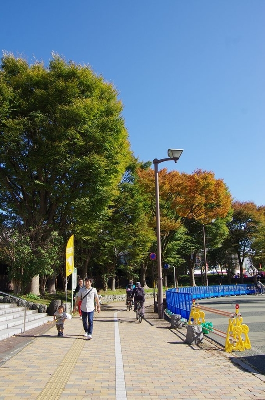イメージ 15