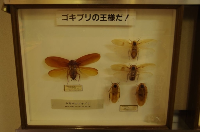イメージ 2