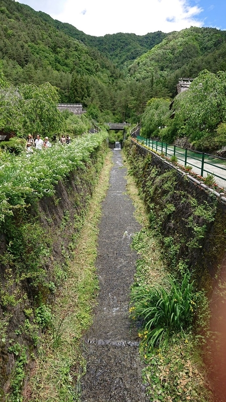 イメージ 3