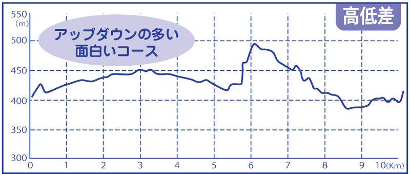 イメージ 17