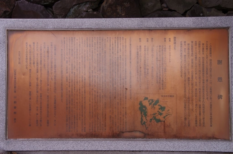 イメージ 20
