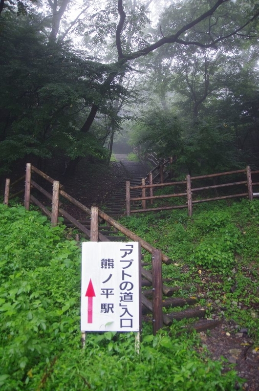 イメージ 17