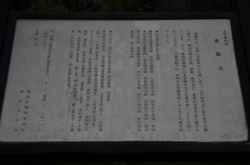 イメージ 8