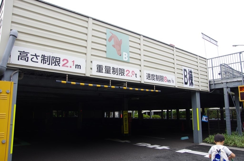 イメージ 6
